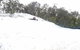 Mt Buller Day Trip From Melbourne - thumb 2