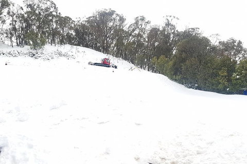 Mt Buller Day Trip From Melbourne - Book Restaurant 2