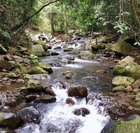 Springbrook Full Day Tour - Book Restaurant