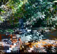 Aquaduck  Your choice of Gold Coast Rainforest Tour - Book Restaurant