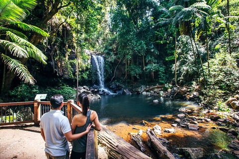 Aquaduck & Your Choice Of Gold Coast Rainforest Tour - Book Restaurant 0