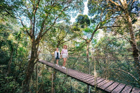 Aquaduck & Your Choice Of Gold Coast Rainforest Tour - Book Restaurant 4