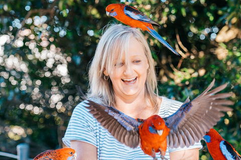 Aquaduck & Your Choice Of Gold Coast Rainforest Tour - Book Restaurant 5