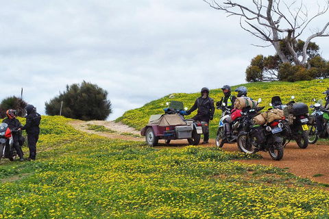3 Days Flerieu Peninsula And Kangaroo Island Motorcycle Tour - Book Restaurant 2