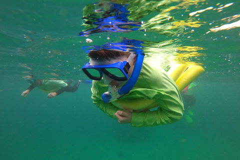Manly Snorkel Trip And Nature Walk With Local Guide - Book Restaurant 5