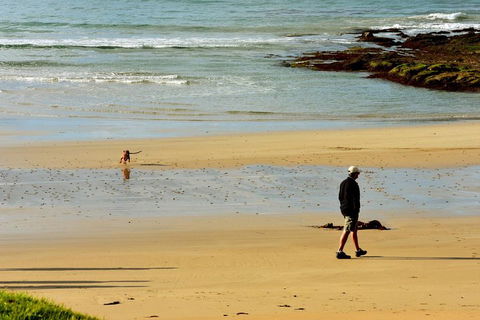 Ultimate Reverse Direction - 12 Apostles, Great Ocean Road - Small Group Tour - Book Restaurant 1