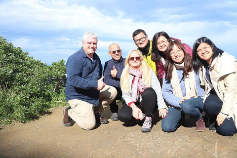 Ultimate Reverse Direction - 12 Apostles, Great Ocean Road - Small Group Tour - Book Restaurant 3
