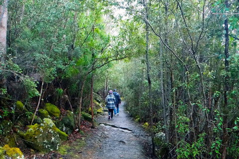 Kunanyi/Mt Wellington Tour & Hobart Hop-On Hop-Off Bus - Book Restaurant 1