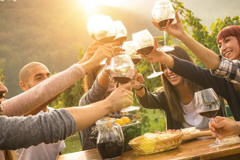 Yarra Valley, Dandenong Ranges Inc. Lunch With Wine,plus Morning Tea,chocolate - Book Restaurant 4