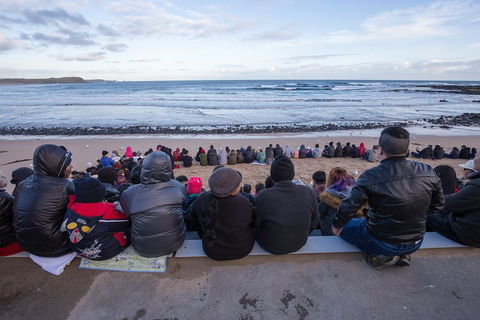 Private Day Tour Of Phillip Island Wildlife And Brighton Beach - Book Restaurant 1
