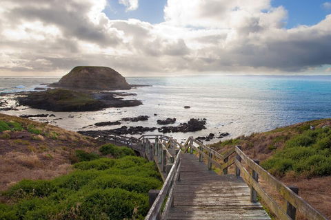 Private Day Tour Of Phillip Island Wildlife And Brighton Beach - Book Restaurant 4