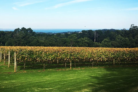 Yarra Valley Wine Tour Inc Lunch With A Glass Of Wine, Tastings And Chocolate - Book Restaurant 2