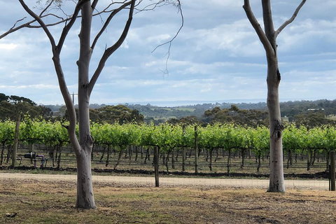 Yarra Valley Wine Tour Inc Lunch With A Glass Of Wine, Tastings And Chocolate - Book Restaurant 3