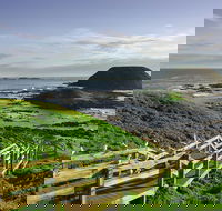 Full-Day Private Australian Wildlife Tour of Phillip Island - Book Restaurant