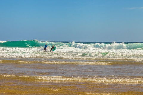Full-Day Private Australian Wildlife Tour Of Phillip Island - Book Restaurant 3