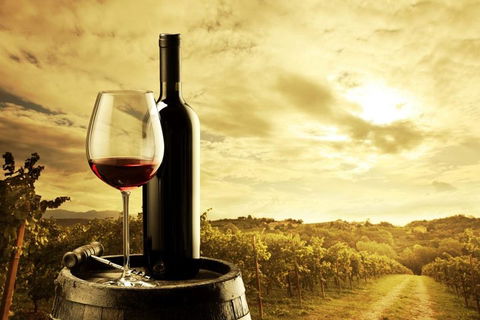 Barossa Valley Cellar Doors Luxury Wine Tour - Book Restaurant 0