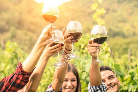 Barossa Valley Cellar Doors Luxury Wine Tour - Book Restaurant 1
