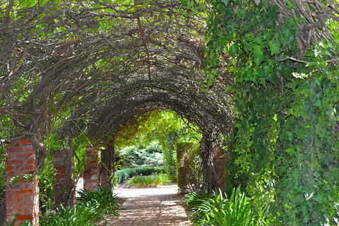 Barossa Valley Cellar Doors Luxury Wine Tour - Book Restaurant 3