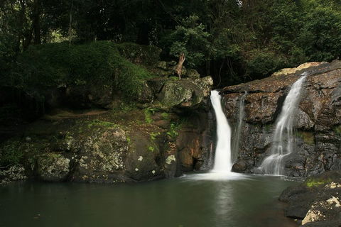 Hinterland Magic & Glow-worm Experience - Book Restaurant 2