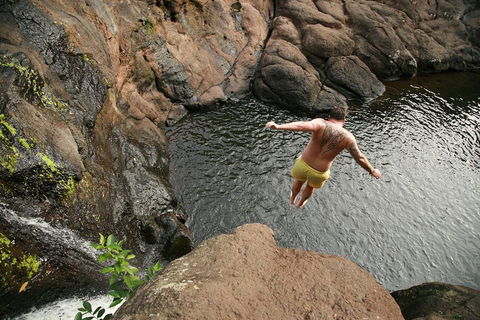 Hinterland Magic & Glow-worm Experience - Book Restaurant 3