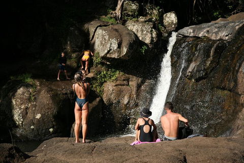 Hinterland Magic & Glow-worm Experience - Book Restaurant 5