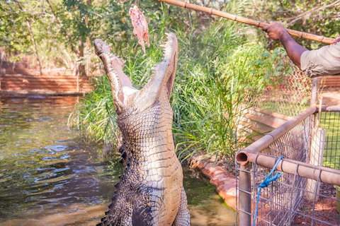 Malcolm Douglas Crocodile Park Tour Including Transportation - Book Restaurant 5