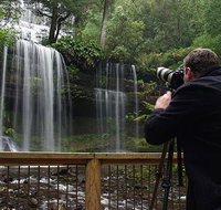 Mt Field and Styx Valley Photography Tour - Book Restaurant