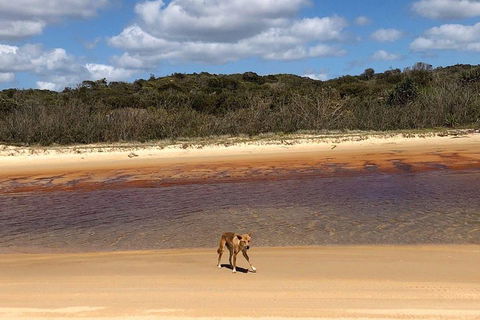 Pippies 3 Days 2 Nights Fraser Island Tour - Book Restaurant 2