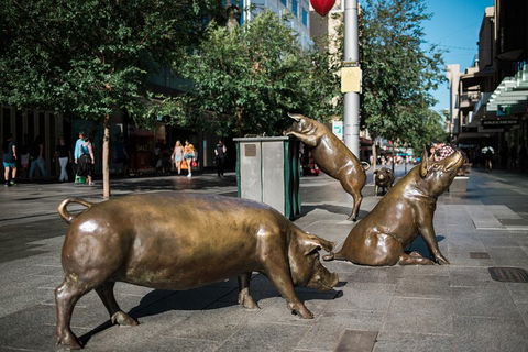 Guided Walking Tour In Adelaide - Book Restaurant 4