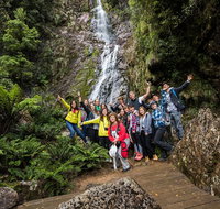5-Day Lap of Tasmania Tour from Hobart flexible ticket - Book Restaurant