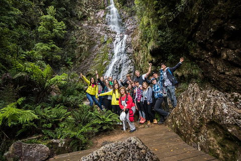 5-Day Lap Of Tasmania Tour From Hobart (flexible Ticket) - Book Restaurant 0