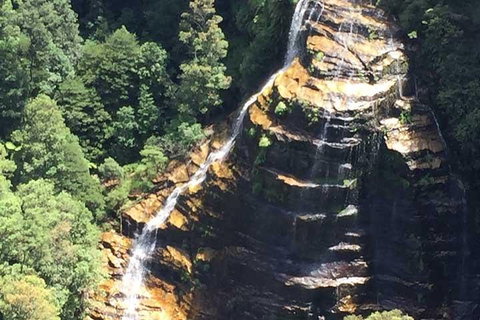 Private Blue Mountains Tour With Kangaroo And Koala Experience - Book Restaurant 5
