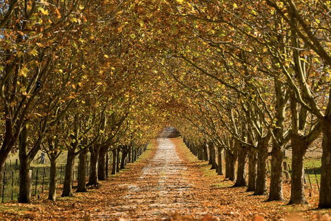 Private Southern Highlands Day Trip From Sydney Including Fitzroy Falls - Book Restaurant 4
