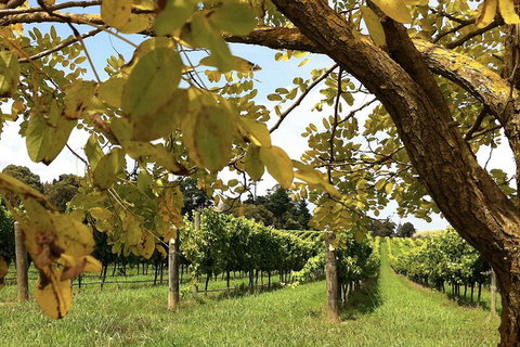 Private Southern Highlands Day Trip From Sydney Including Fitzroy Falls - Book Restaurant 5
