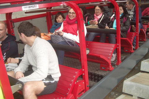 Full-Day Private Blue Mountains Tour With River Cruise - Book Restaurant 0