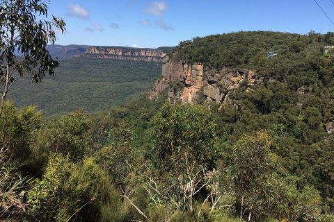 Full-Day Private Blue Mountains Tour With River Cruise - Book Restaurant 1