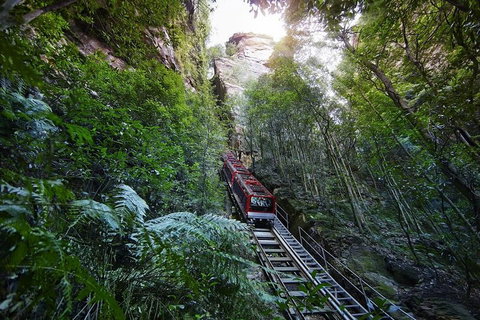 Private All Blue Mountains Day Tour - Book Restaurant 3