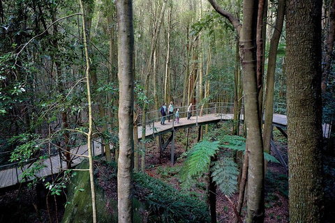 Private All Blue Mountains Day Tour - Book Restaurant 4