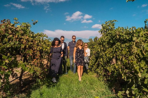 Barossa Valley Private Tour (from 2 To 11 People) - Book Restaurant 0