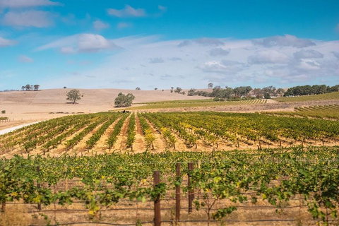 Barossa Valley Private Tour (from 2 To 11 People) - Book Restaurant 2