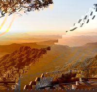 O'Reilly's  Lamington National Park incl. Alpaca Farm  Vineyard