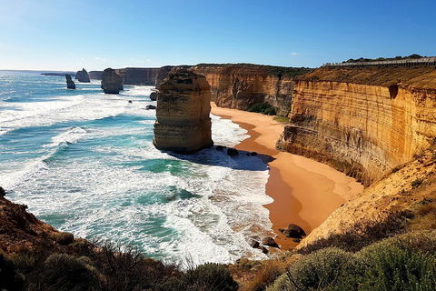 Helicopter Flight + Fine Dining Private Luxury Great Ocean Road Tour - Book Restaurant 4