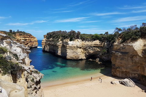 Great Ocean Road Adventure - Private Tour - Reverse - Book Restaurant 0
