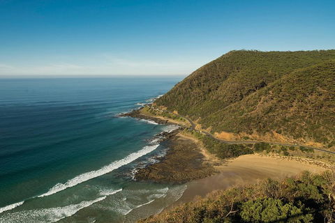 Great Ocean Road Adventure - Private Tour - Reverse - Book Restaurant 2