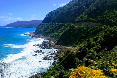 Great Ocean Road Adventure - Private Tour - Reverse - Book Restaurant 3