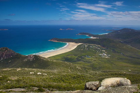 Wilson's Promontory & Phillip Island - 'Prom & Penguins' Tour - Book Restaurant 0