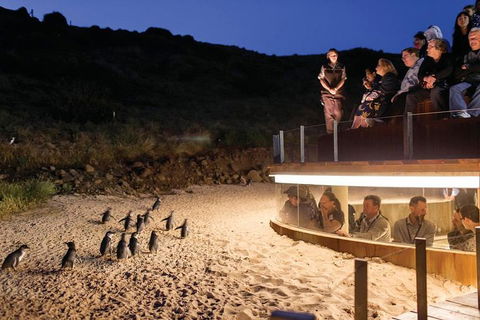 Wilson's Promontory & Phillip Island - 'Prom & Penguins' Tour - Book Restaurant 3