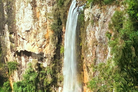 Natural Arch, Rainforest & Volcano Canyon - Private Half Day Tour - Book Restaurant 2