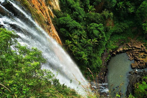 Natural Arch, Rainforest & Volcano Canyon - Private Half Day Tour - Book Restaurant 5