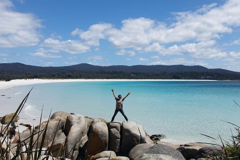 Tasmania 4 Day East Coast + Launceston - Book Restaurant 1